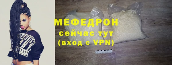 прущие грибы Богданович