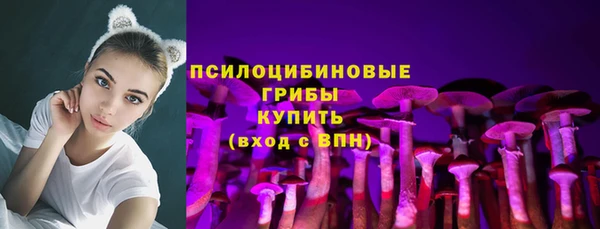 мет Богородицк