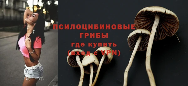 не бодяженный Белокуриха