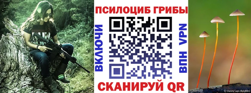 Галлюциногенные грибы GOLDEN TEACHER  Хадыженск 